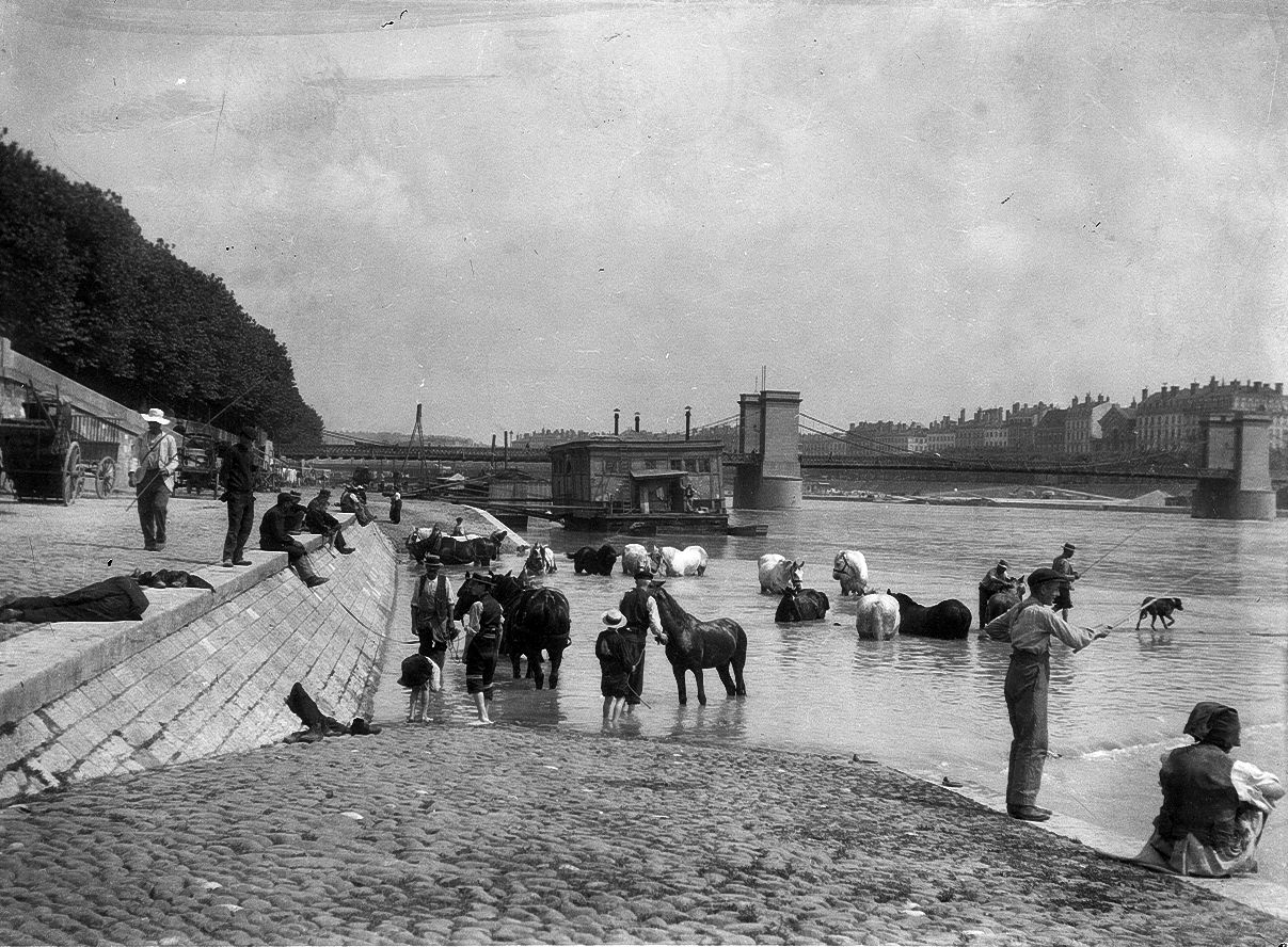 Le bain des  chevaux dans le Rhône, avec la morgue en fond. Photo BML/Fonds Jules Sylvestre